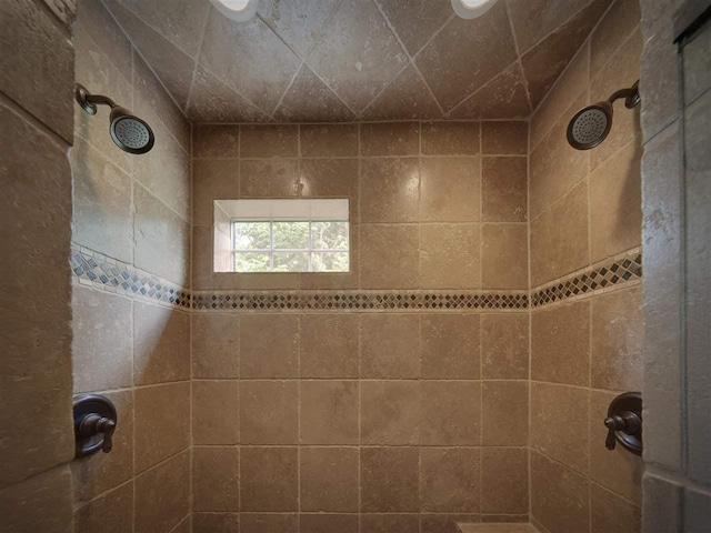 6598 Forest Way, Harbor Springs, MI 49740 - bathroom with a tile shower