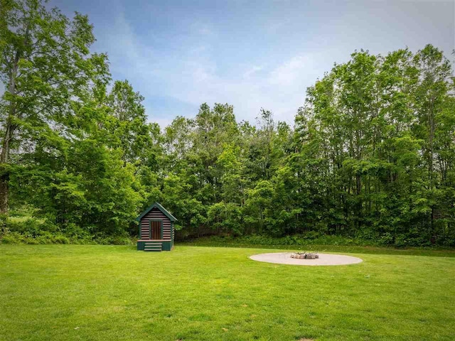 6598 Forest Way, Harbor Springs, MI 49740 - view of green lawn with a fire pit and an outbuilding
