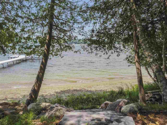 1885 Lalonde Rd, East Jordan, MI 49727 - view of yard with a water view and a dock