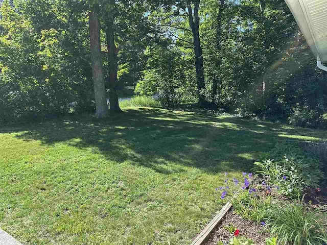 4505 S State Rd, Harbor Springs, MI 49740 - view of green lawn