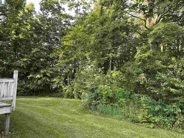 4505 S State Rd, Harbor Springs, MI 49740