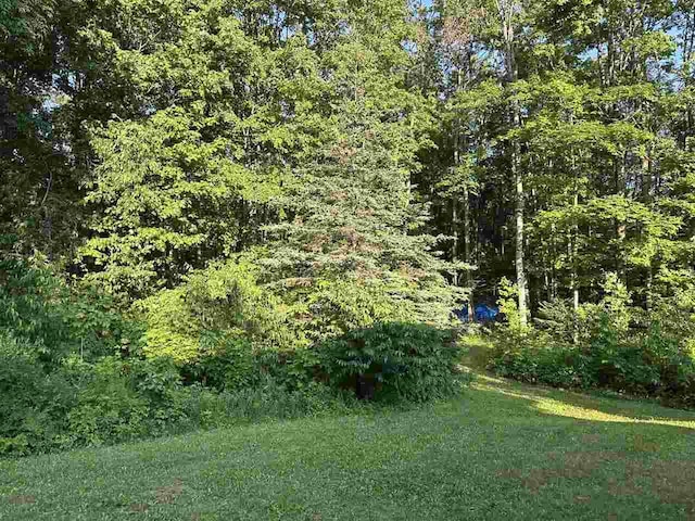 4505 S State Rd, Harbor Springs, MI 49740