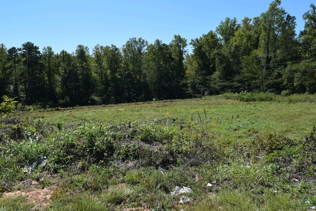 1391 W O Ezell Blvd, Spartanburg, SC 29301 - photo 8
