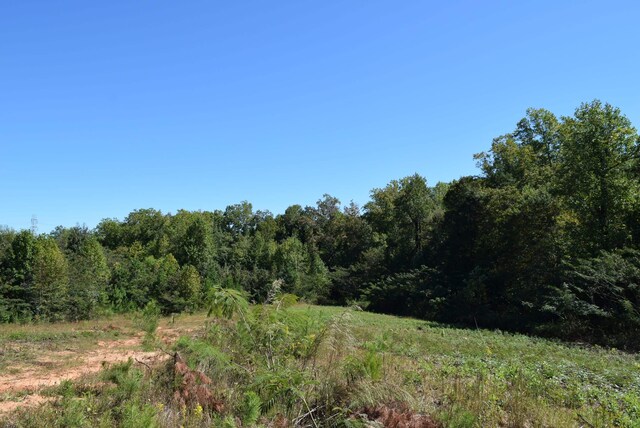 1391 W O Ezell Blvd, Spartanburg, SC 29301 - photo 9