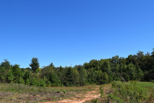 1391 W O Ezell Blvd, Spartanburg, SC 29301 - photo 12