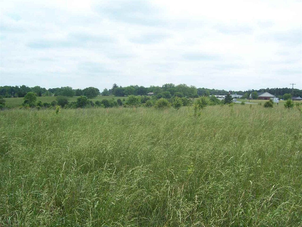 0 Chesnee Hwy, Gaffney, SC 29341 - photo 3