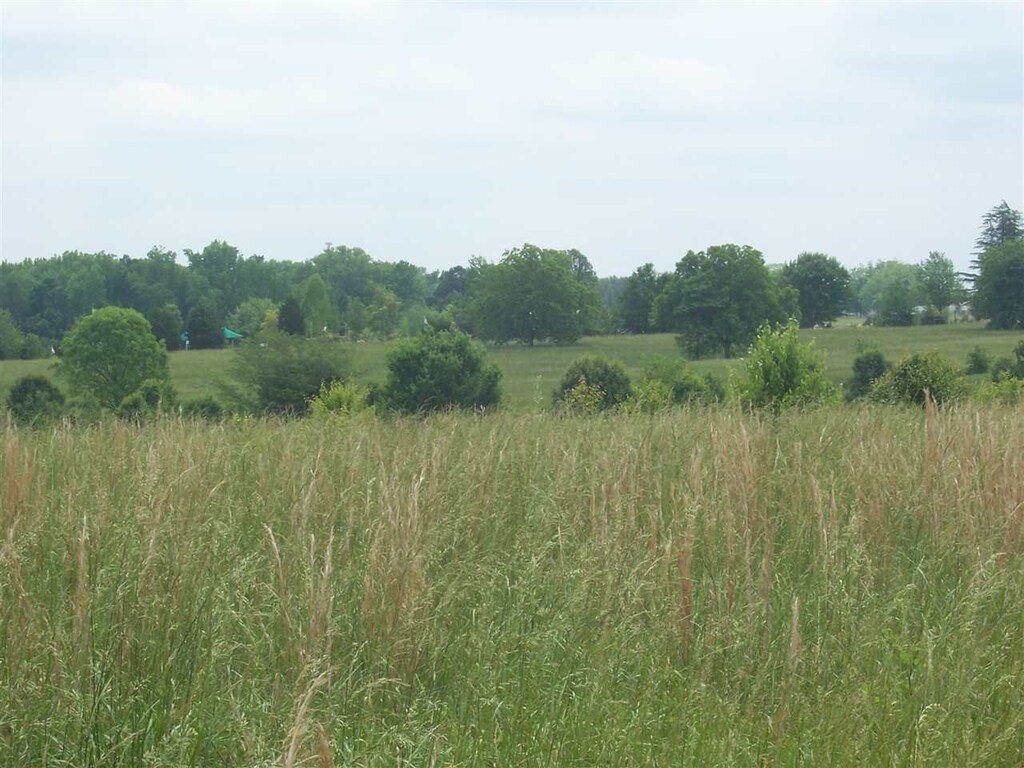 0 Chesnee Hwy, Gaffney, SC 29341 - photo 4