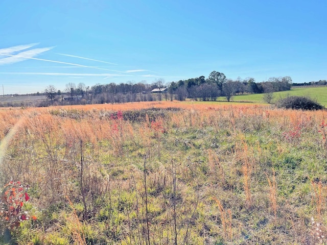 0 Mount Lebanon Rd, Inman, SC 29349 - photo 8