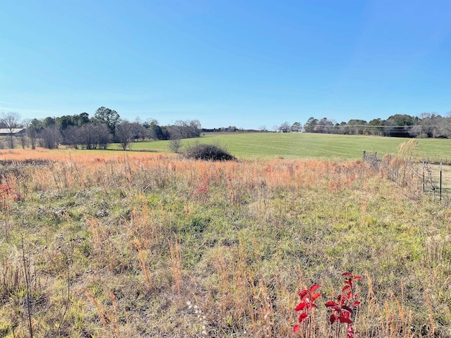 0 Mount Lebanon Rd, Inman, SC 29349 - photo 9