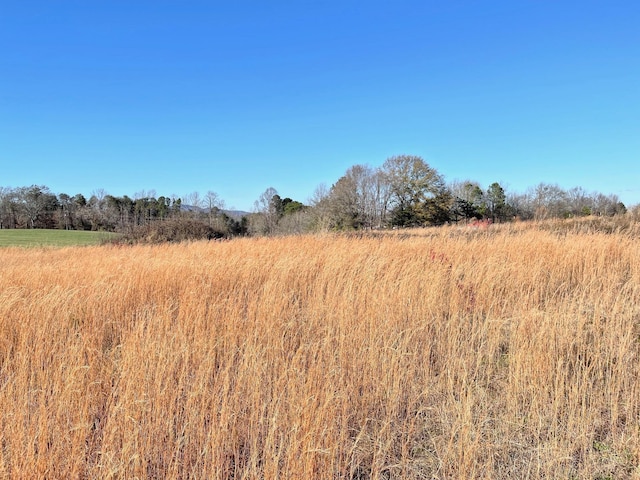0 Mount Lebanon Rd, Inman, SC 29349 - photo 10