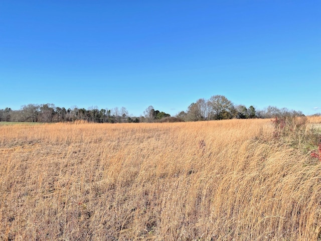 0 Mount Lebanon Rd, Inman, SC 29349 - photo 12