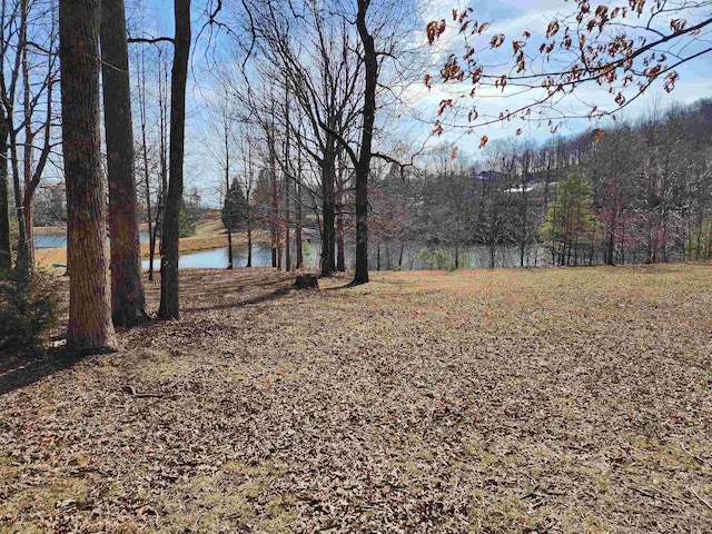 LOT77 Serpentine Dr, Columbus, NC 28722 - photo 1
