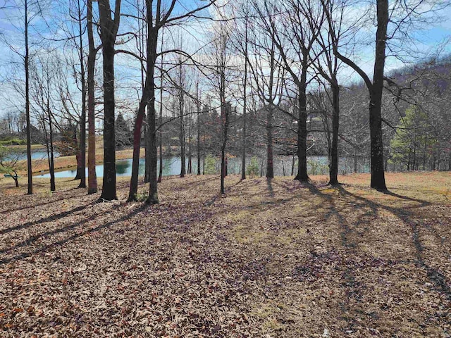 LOT77 Serpentine Dr, Columbus, NC 28722 - photo 2