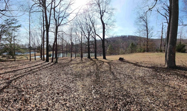 LOT77 Serpentine Dr, Columbus, NC 28722 - photo 3