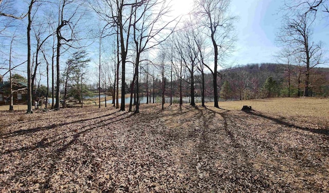 LOT77 Serpentine Dr, Columbus, NC 28722 - photo 4