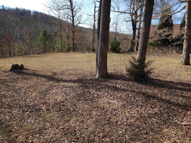 LOT77 Serpentine Dr, Columbus, NC 28722 - photo 6