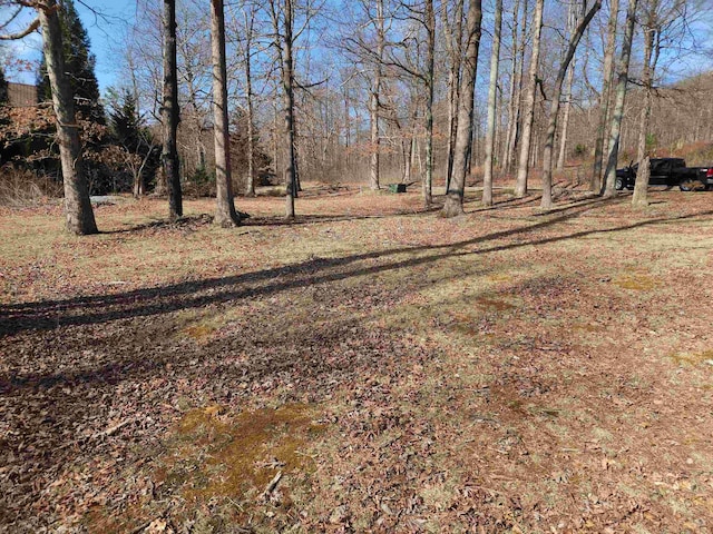 LOT77 Serpentine Dr, Columbus, NC 28722 - photo 7