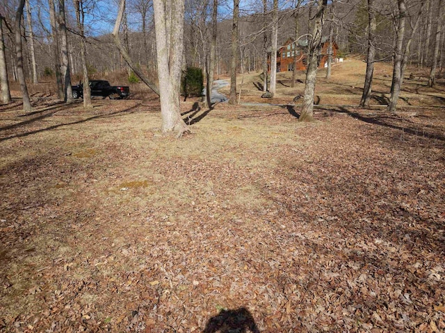LOT77 Serpentine Dr, Columbus, NC 28722 - photo 8
