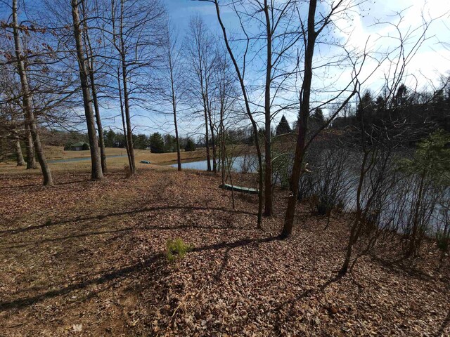 LOT77 Serpentine Dr, Columbus, NC 28722 - photo 10