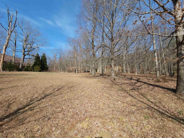 LOT77 Serpentine Dr, Columbus, NC 28722 - photo 11