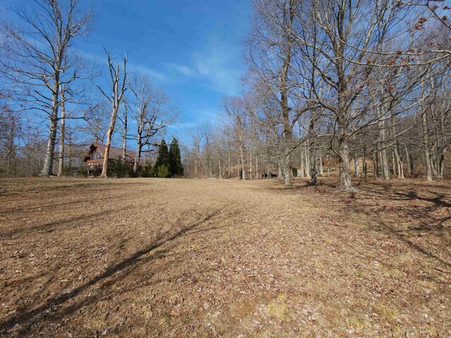 LOT77 Serpentine Dr, Columbus, NC 28722 - photo 12