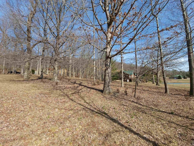 LOT77 Serpentine Dr, Columbus, NC 28722 - photo 13