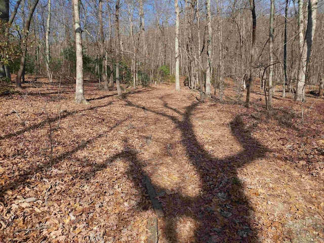 LOT77 Serpentine Dr, Columbus, NC 28722 - photo 14