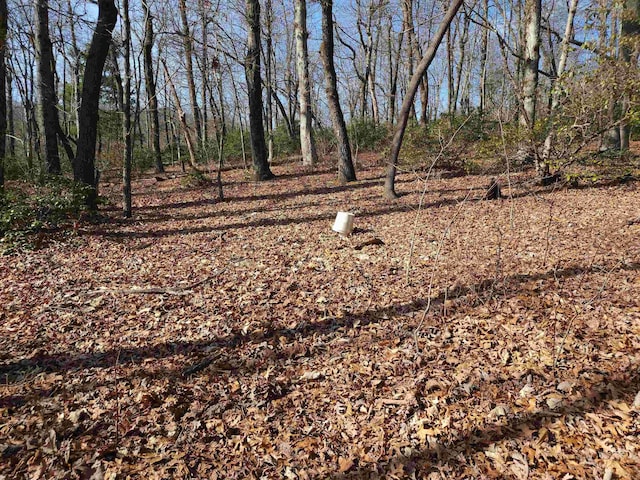 LOT77 Serpentine Dr, Columbus, NC 28722 - photo 15