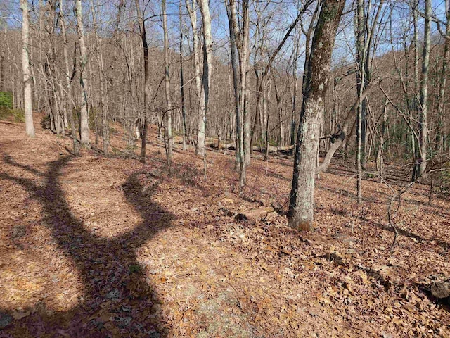 LOT77 Serpentine Dr, Columbus, NC 28722 - photo 16