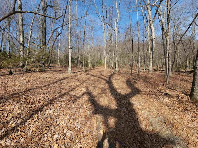 LOT77 Serpentine Dr, Columbus, NC 28722 - photo 17