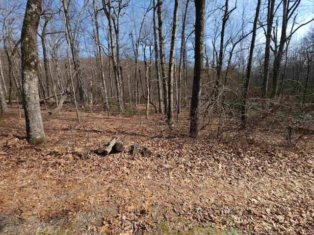 LOT77 Serpentine Dr, Columbus, NC 28722 - photo 18