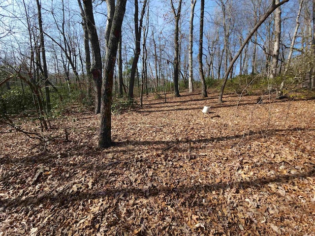 LOT77 Serpentine Dr, Columbus, NC 28722 - photo 19