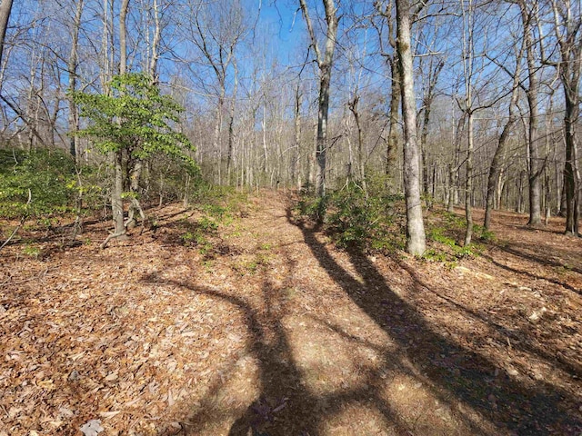LOT77 Serpentine Dr, Columbus, NC 28722 - photo 21