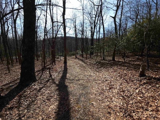 LOT77 Serpentine Dr, Columbus, NC 28722 - photo 22