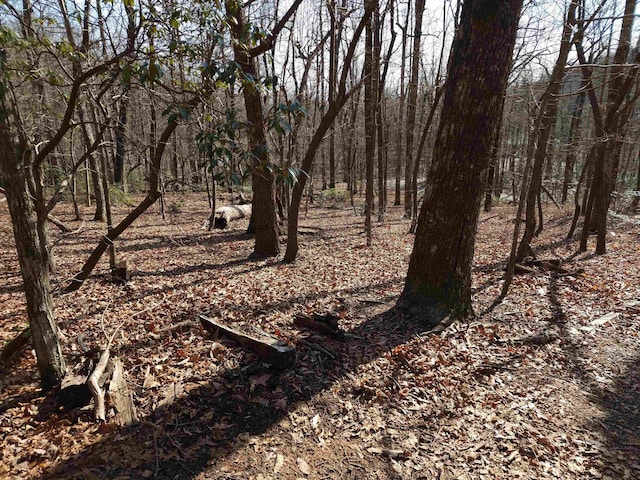 LOT77 Serpentine Dr, Columbus, NC 28722 - photo 23