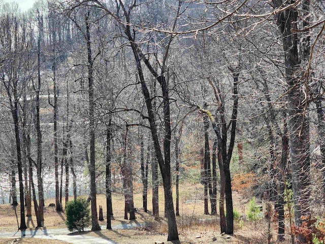 LOT77 Serpentine Dr, Columbus, NC 28722 - photo 26