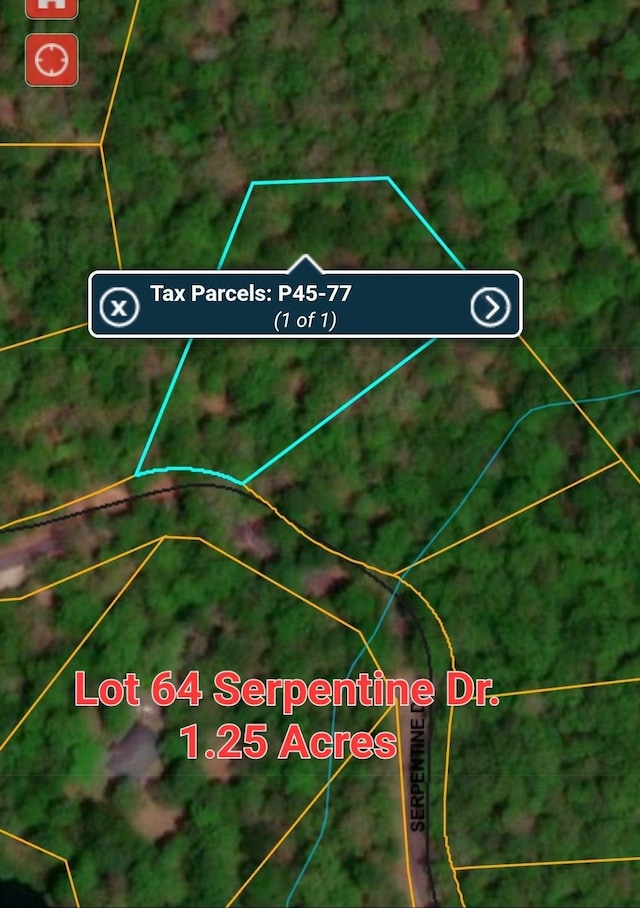 LOT77 Serpentine Dr, Columbus, NC 28722 - photo 29