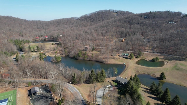 LOT77 Serpentine Dr, Columbus, NC 28722 - photo 32