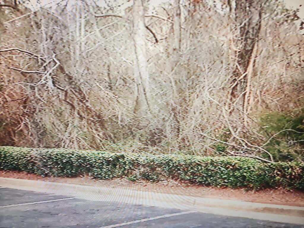 0 Cavalier Conection, Roebuck, SC 29376
