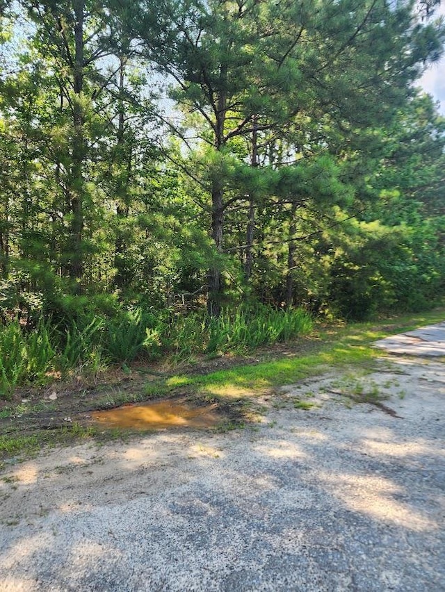 00 Commerce Ave, Clinton, SC 29325 - photo 5
