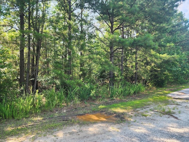 00 Commerce Ave, Clinton, SC 29325 - photo 2