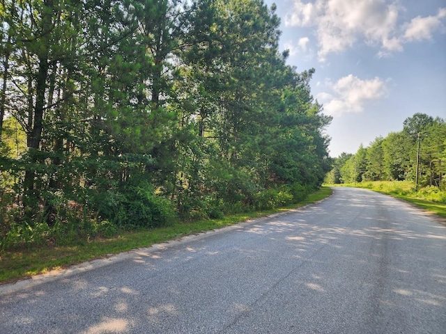 00 Commerce Ave, Clinton, SC 29325 - photo 6