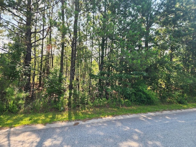 00 Commerce Ave, Clinton, SC 29325 - photo 3
