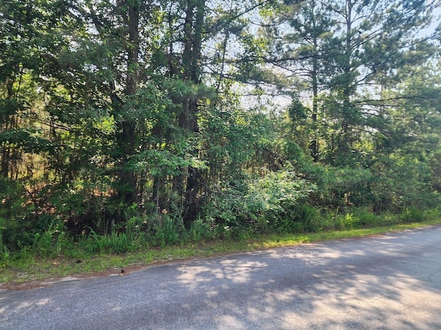 00 Commerce Ave, Clinton, SC 29325 - photo 7