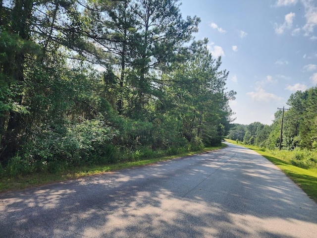 00 Commerce Ave, Clinton, SC 29325 - photo 10