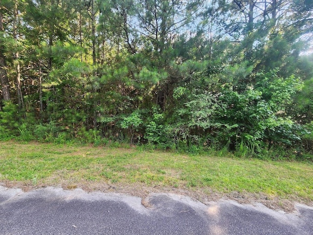 00 Commerce Ave, Clinton, SC 29325 - photo 11