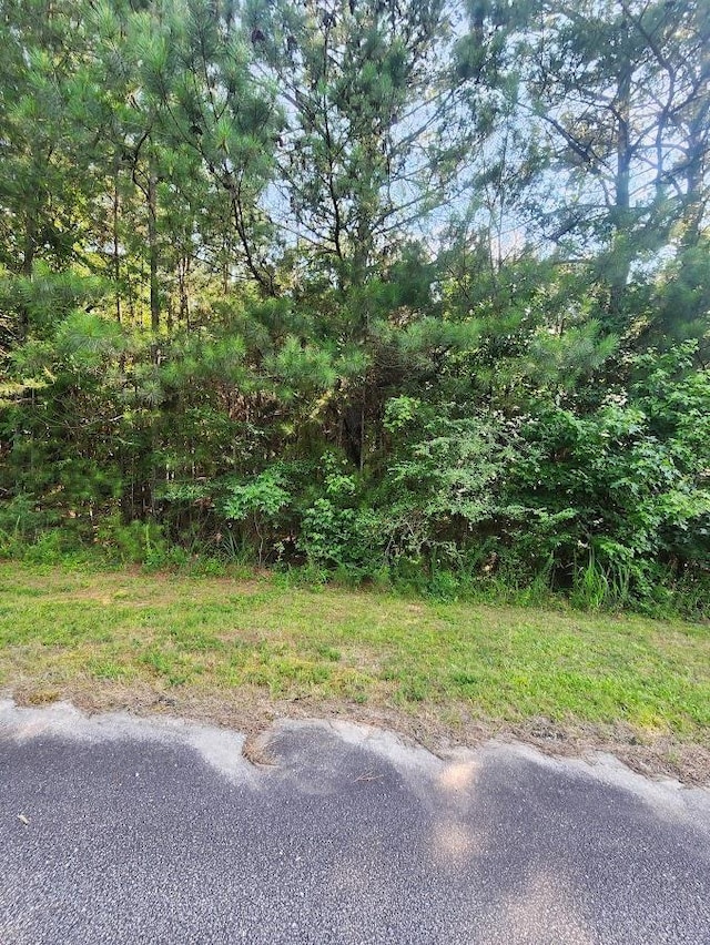 00 Commerce Ave, Clinton, SC 29325 - photo 12