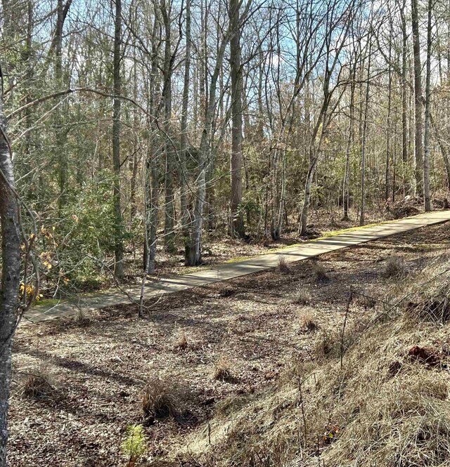 634 Crowe Creek Trl, Inman, SC 29349 - photo 9