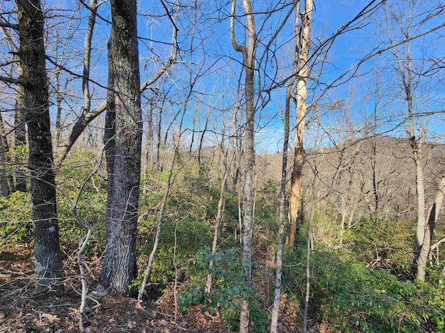 LOT22 Sunset Ridge Dr, Columbus, NC 28722 - photo 1