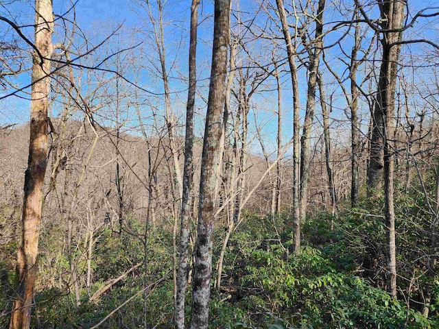 LOT22 Sunset Ridge Dr, Columbus, NC 28722 - photo 2